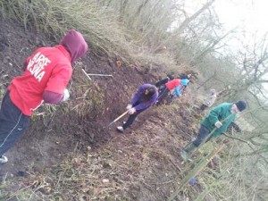 national committee sewa activity 2