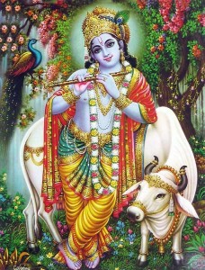 Krishna Janmashtami 3