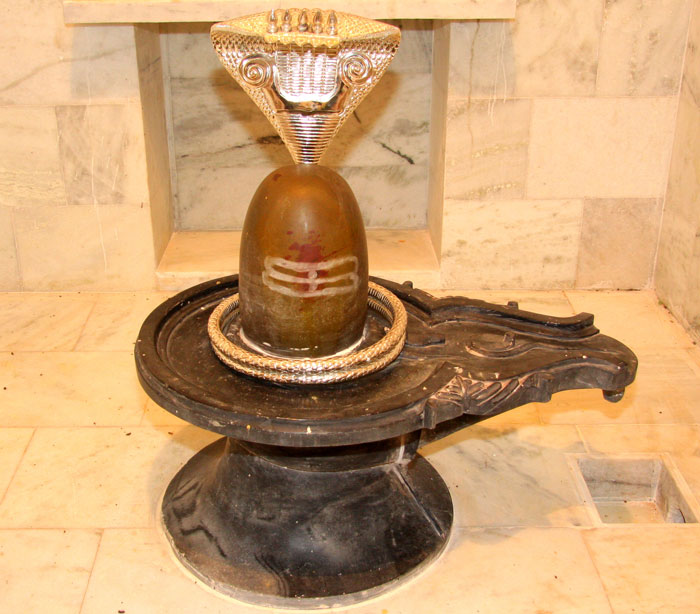 Shraavan Maas