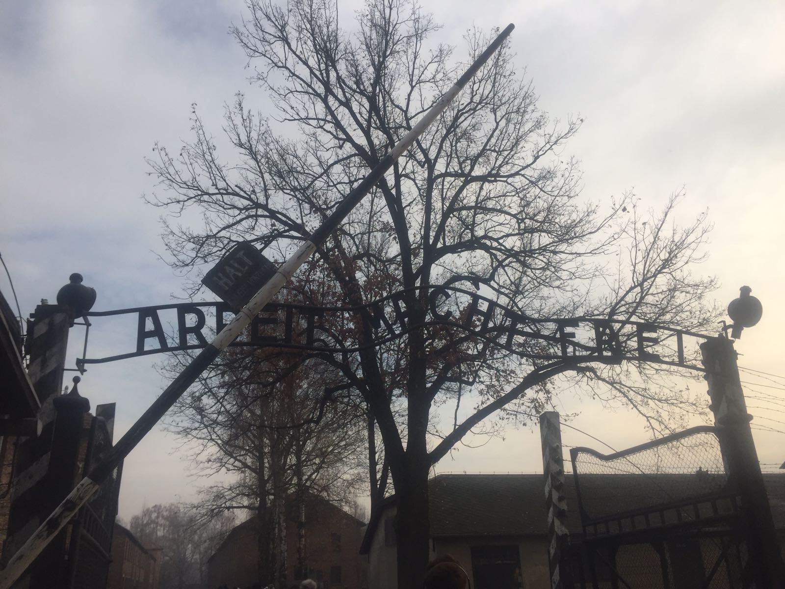 Lessons from Auschwitz